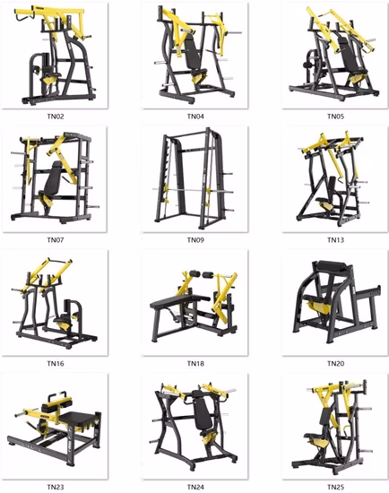 Strength Fitness Chair Sit up Flat Dumbbell Bench Workout Bench Adjustable Exercise Commercial Gym Weight Bench