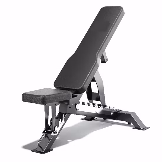 Foldable Dumbbell Bench Weight Lifting and Strength Training